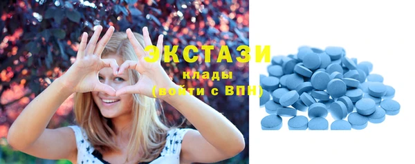 PSILOCYBIN Струнино