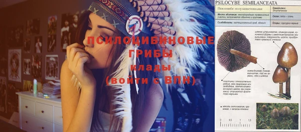 скорость Богородицк